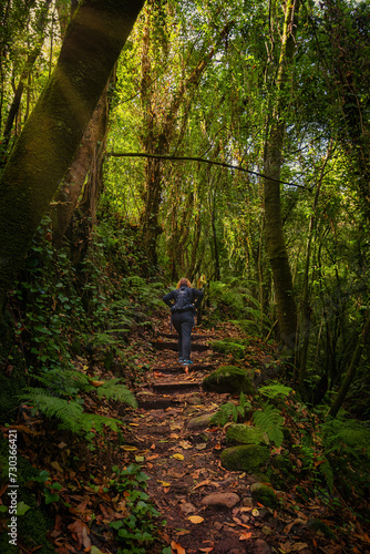 Unrecognizable woman with backpack, climbing a path surrounded by trees and ferns