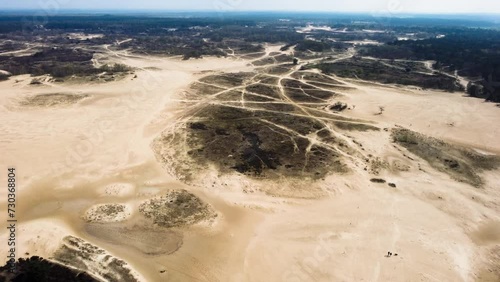 The Loonse and Drunense Duinen National Park, Yellow Sand and Trees