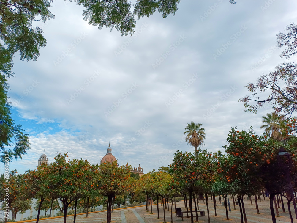 Fototapeta premium autumn in the park