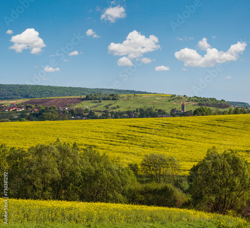 Spring countryside view with rapeseed yellow blooming fields, groves, hills. Ukraine, Lviv Region.