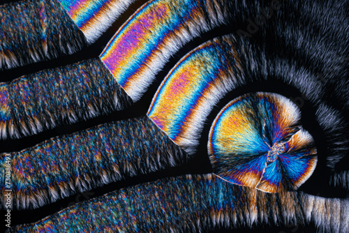 Colorful patterns of light on a butterfly wing photo