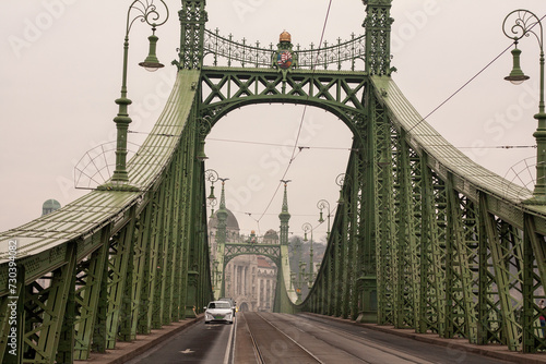 Photography view of the Freedom Bridge Budapest