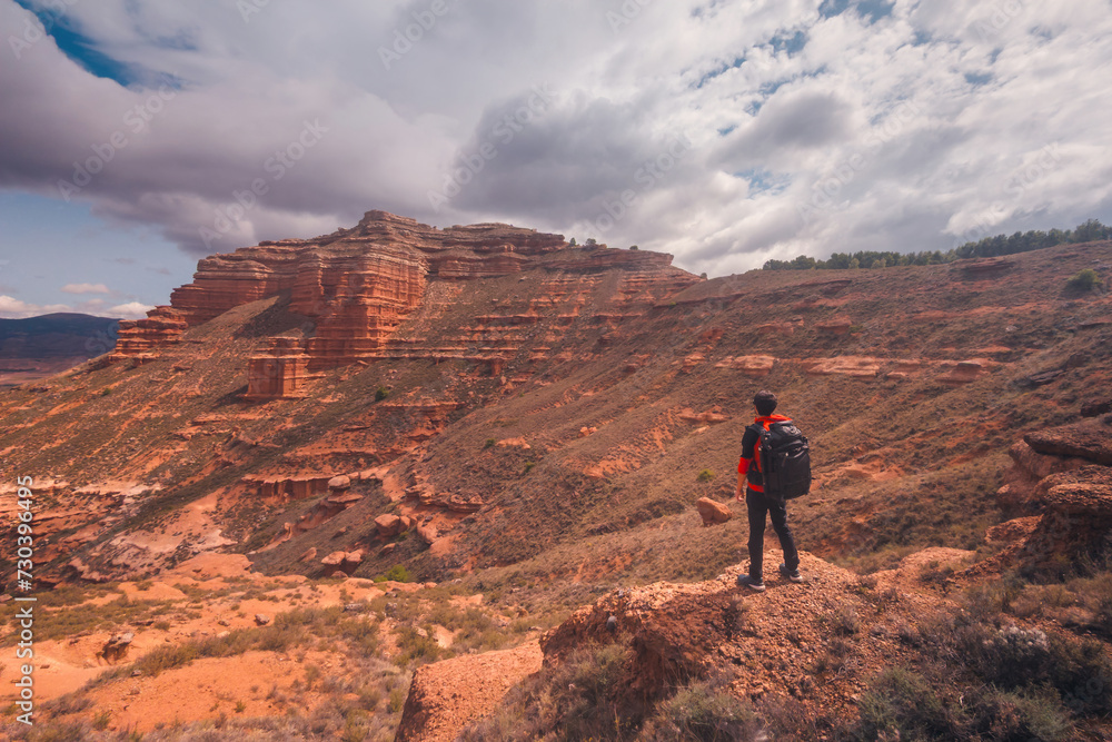 Unrecognizable hiker admiring view of canyon in desert on badlands