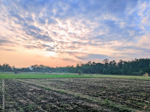 sunset over the field