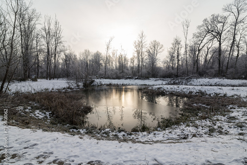 A forest and a river in nature in winter © Alen