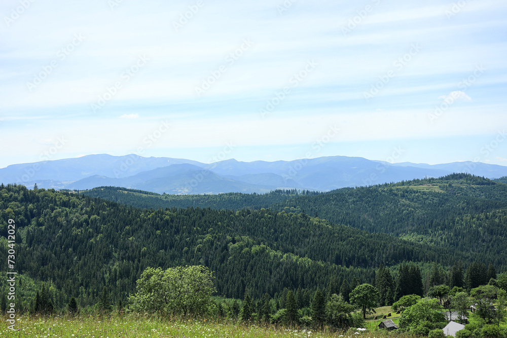 Naklejka premium Mountain landscape with forest in Carpathians, Ukraine