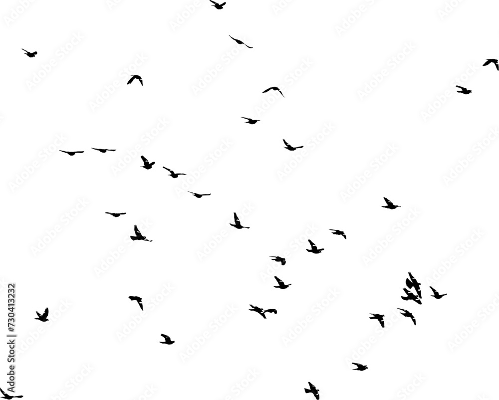 Nuée d'oiseaux en vol dans le ciel, vecteur noir sur fond transparent Nuée d'oiseaux en vol dans le ciel, vecteur noir sur fond transparent