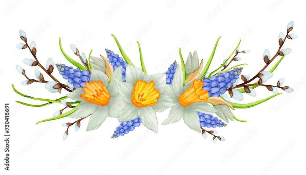 Composition of spring flowers. Daffodils, muscari, willow. Watercolor botanical illustration. Easter, Birthday, Mother's Day, Women's Day, wedding, spring. Design for invitation, greeting card, etc..