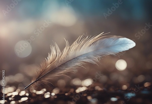 Wet Feather on Blurred Background