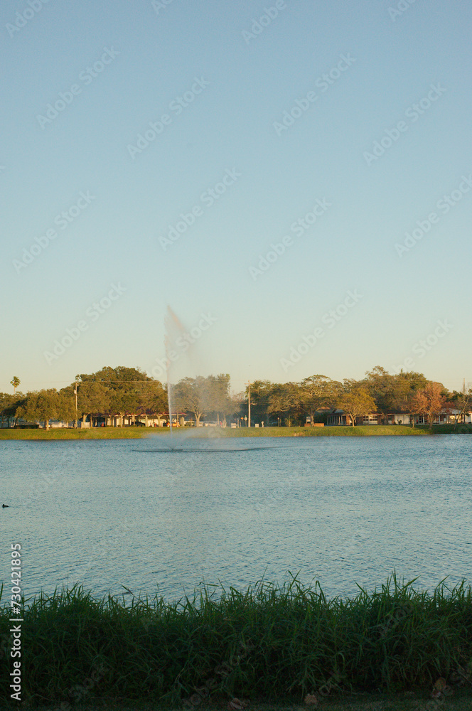 Jorgensen Lake Park Fountain in St. Petersburg, Florida late afternoon vertical view. Green grass in foreground with water shooting up from fountain. Bird in water in front left of fountain spray.