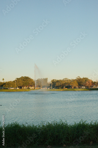 Jorgensen Lake Park Fountain in St. Petersburg, Florida late afternoon vertical view. Green grass in foreground with water shooting up from fountain. Bird in water in front left of fountain spray.