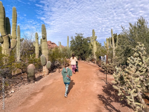 A mother and daughter walking through a beautiful cactus garden in the Desert Botanical Garden, in Phoenix, Arizona