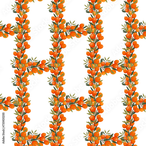 Vector Seamless background, sea buckthorn berries and berries natural design