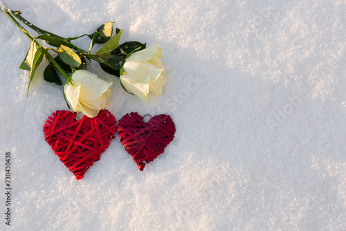 Two red hearts and white rosen on snow background.