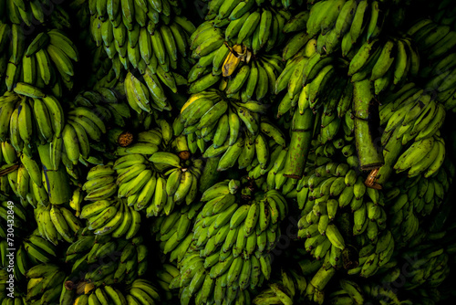 Fototapeta Naklejka Na Ścianę i Meble -  background of green bananas