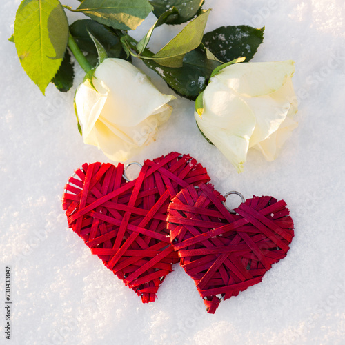 Two red hearts and white rosen on snow background.