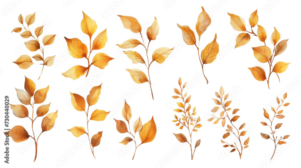 Watercolor set of branches with golden leaves isolated transparent background. PNG Format. Watercolor set of branches with golden leaves isolated transparent background. PNG Format.