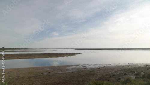 sequía en las Marismas del Odiel, Huelva, Andalucía. Abril de 2024.