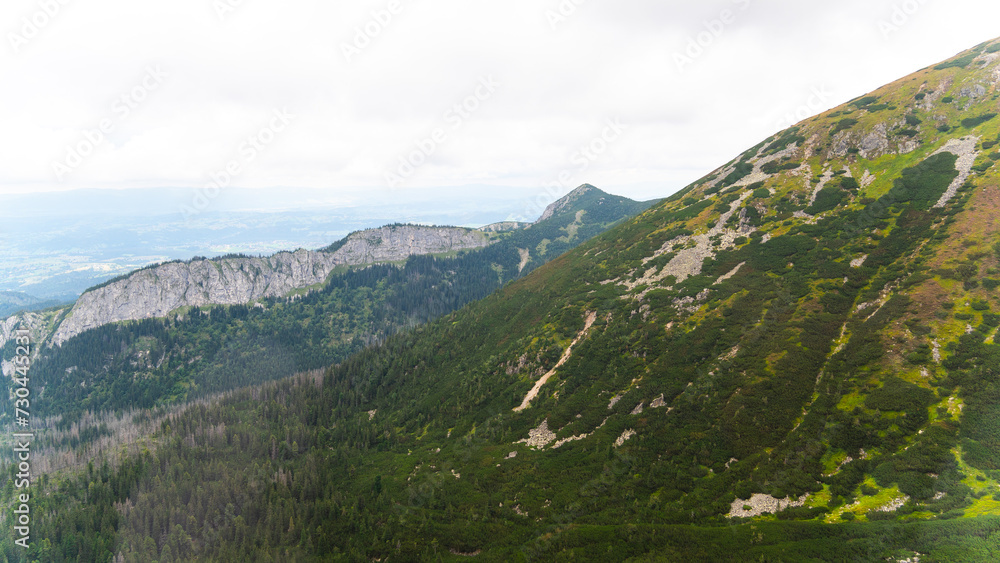 Naklejka premium mountain view forest landscape Poland Zakopane