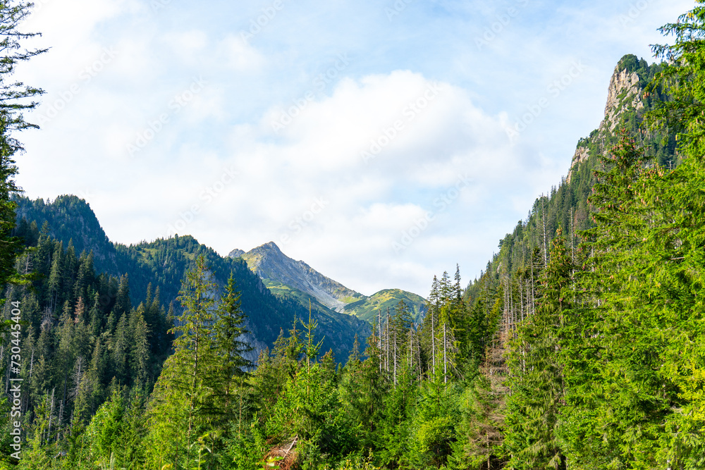 mountain view forest landscape Poland Zakopane mountain view forest landscape Poland Zakopane