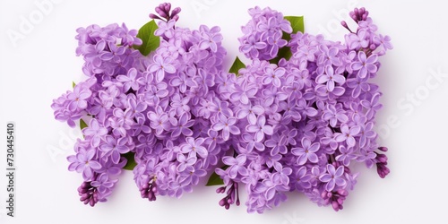 Lilac square isolated on white background