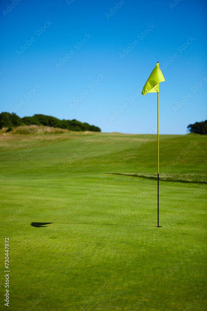 Golf Putting Green With Flag in Hole, Vertical Golf Putting Green With Flag in Hole, Vertical