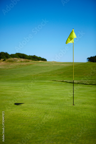 Golf Putting Green With Flag in Hole, Vertical