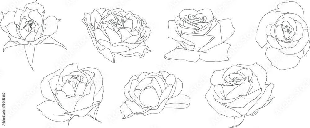 Flowers illustration set of line art roses isolated on white background. This collection of line art roses showcases the beauty of these iconic flowers in a minimalist and elegant style