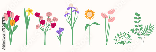 Flower bouquet.Spring and summer flowers, plants for decoration, blooming herbs isolated on white background.Hand drawn set.Vector illustration EPS 10 photo