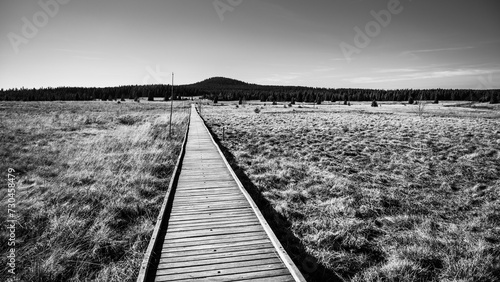 Wooden path in Bozi Dar peat bog nature reservation on sunny autumn day. Ore Mountains, Czech: Krusne hory, Czech Republic. Black and white photography.