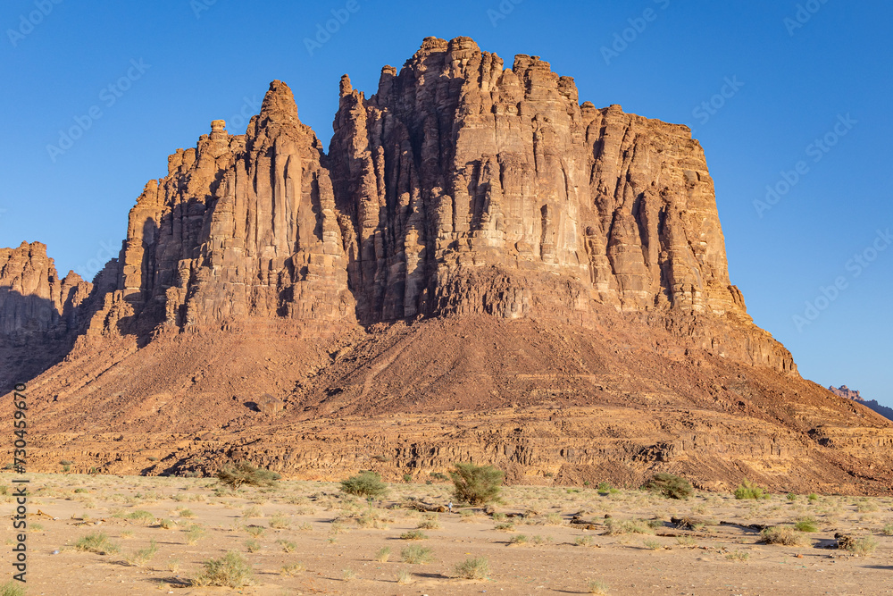 Desert landscape in the Prince Mohammed bin Salman Natural Reserve.