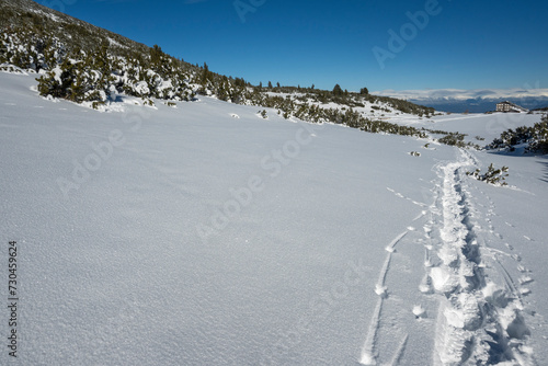 Winter view of Pirin Mountain near Bezbog Peak, Bulgaria photo