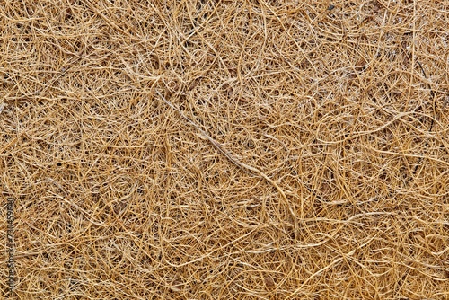 Coconut fiber solid background image. Material is used for many purposes including gardening and manufacturing of doormats, brushes and mattresses. photo