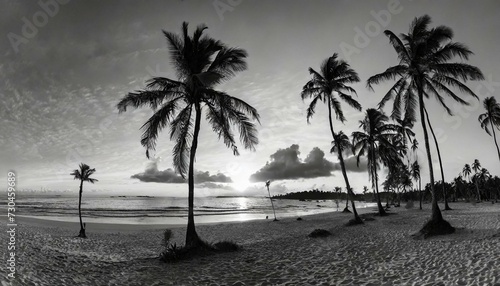 A tropical sunset on a beach   © adobedesigner