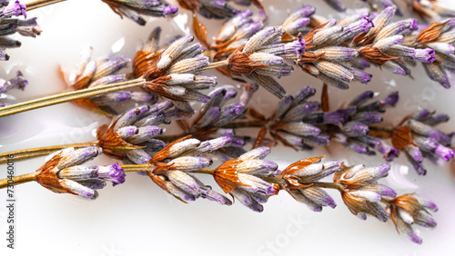 Dried lavender flower