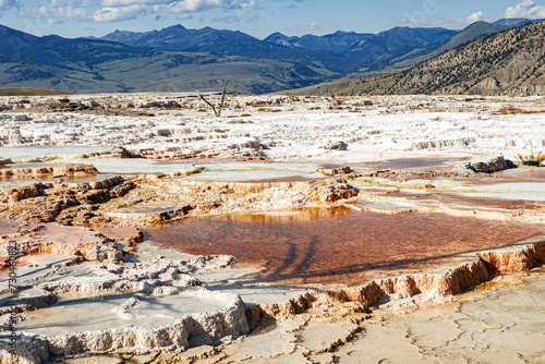 Canary Spring on top of Mammoth Hot Spring mound in Yellowstone National Park, USA