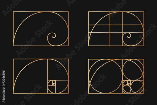 Golden ratio templates. Logarithmic spirals in rectangle frames divided on lines, squares and circles. Fibonacci sequence grids. Ideal harmony, symmetry proportions layouts. Vector illustration