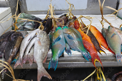 Colorful fresh fish at a market in Medina.