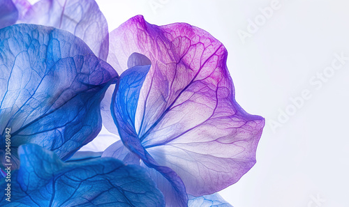 Background with blue and purple flower petals, macro detail
