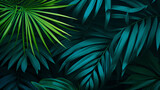 Blue green leaf surface on dark leaf, closeup abstract green big tropical leaves natural texture, large palm foliage, fresh wallpaper.