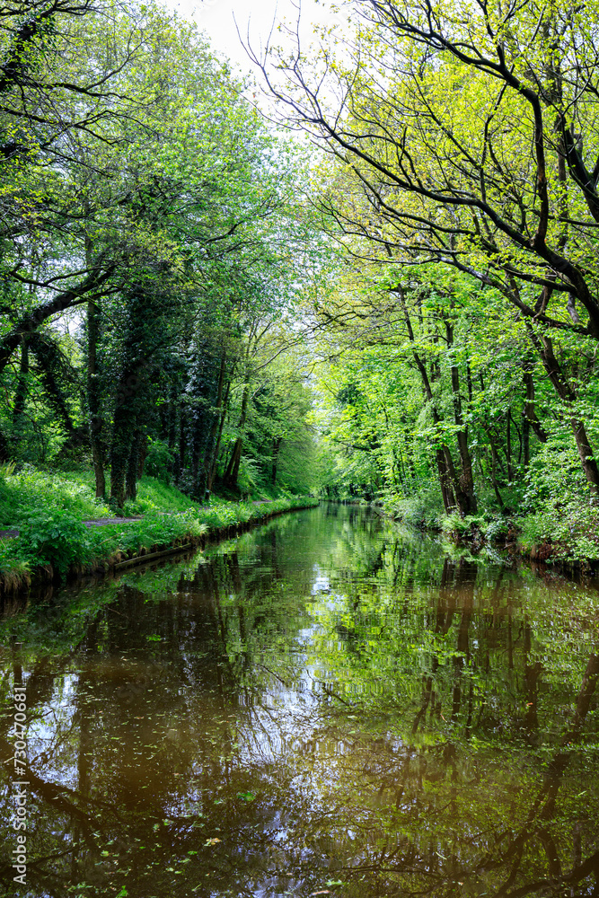 A Peaceful Day at the English Canal with a Moored Boat Amidst the Lush Green Forest