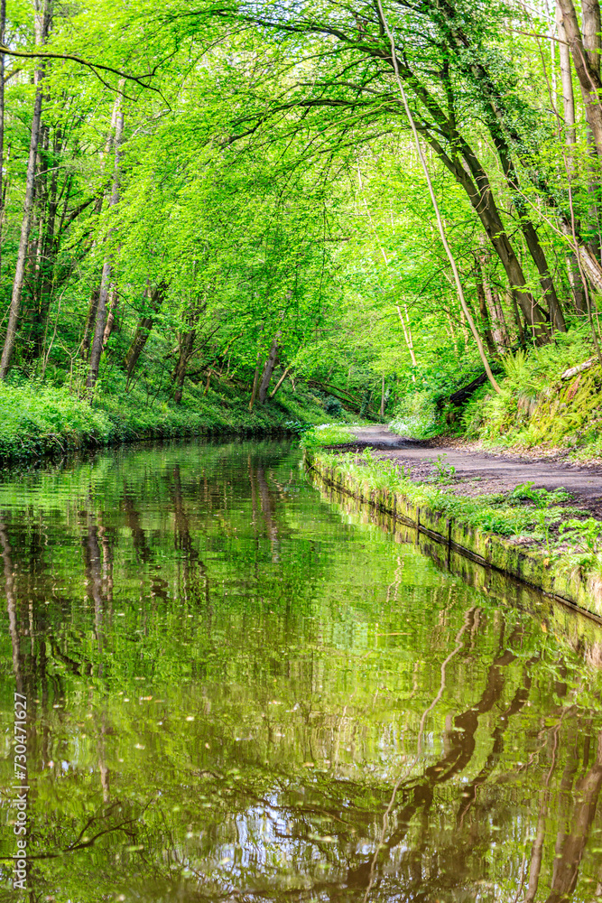 A Peaceful Day at the English Canal with a Moored Boat Amidst the Lush Green Forest A Peaceful Day at the English Canal with a Moored Boat Amidst the Lush Green Forest
