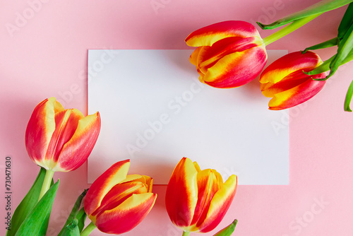 Fototapeta Naklejka Na Ścianę i Meble -  Delicate tulips and greeting card on pink background. Spring concept. Happy easter.