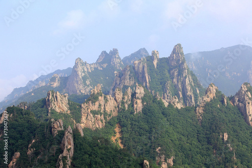 고산지대의 바위와 푸른 숲