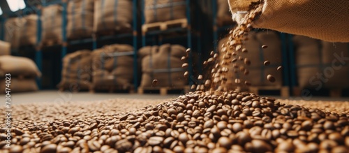 Close up raw coffee beans pouring from handful to the sack in a warehouse. AI generated image photo