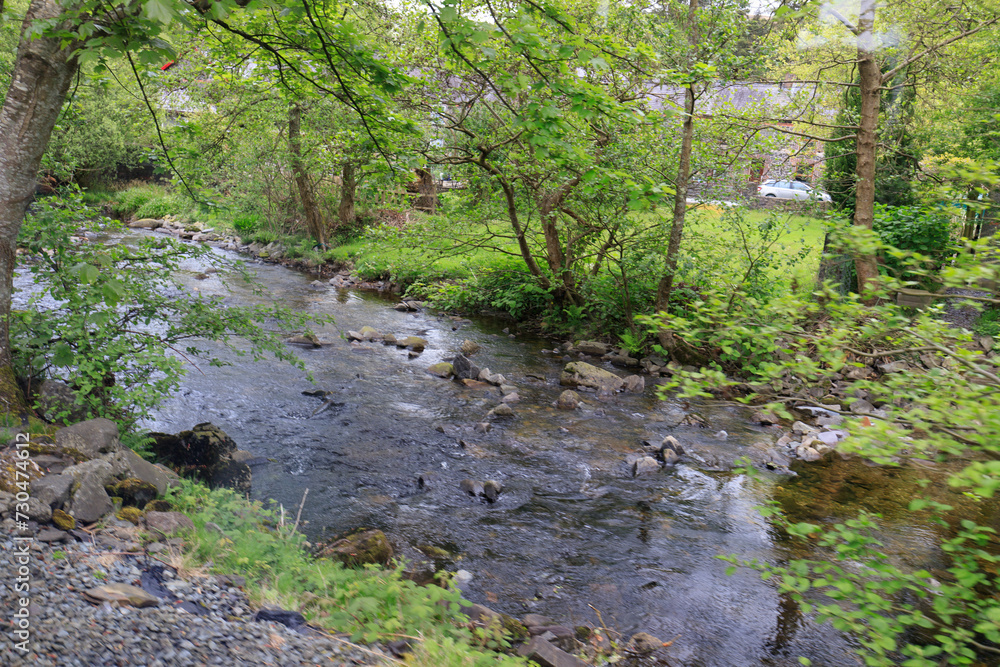 Tranquil Stream Amidst Green Nature Tranquil Stream Amidst Green Nature