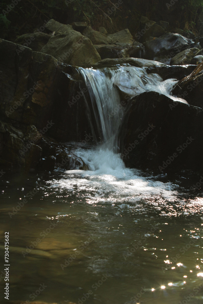 Naklejka premium waterfall in the forest