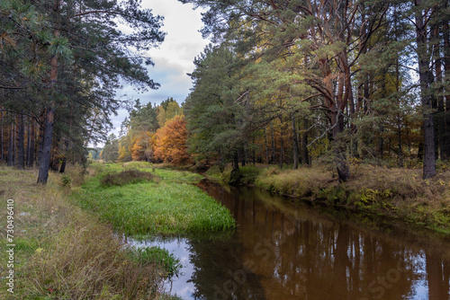 Autumn landscape  dense forest on the river bank with a beautiful reflection of calm water.