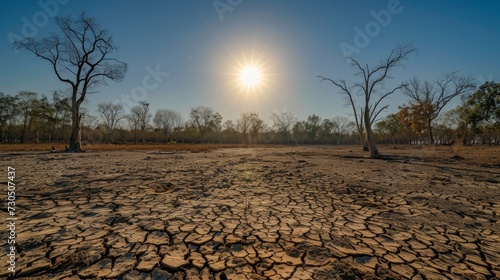 Global Warming a dry cracked landscape with bare trees under a bright sun