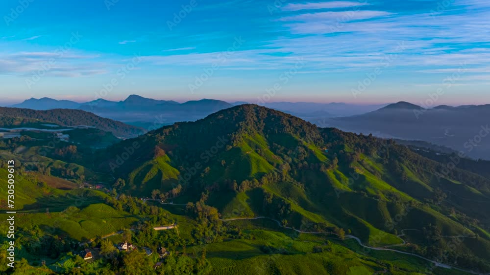 Aerial hyperlapse shot of a tea valley overlooking on the mountain in Cameron Highlands, Malaysia during beautiful sunrise. Aerial hyperlapse shot of a tea valley overlooking on the mountain in Cameron Highlands, Malaysia during beautiful sunrise.